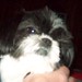 Erin Gilliam Photo 12