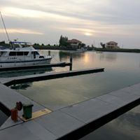 Wai Tang Photo 33