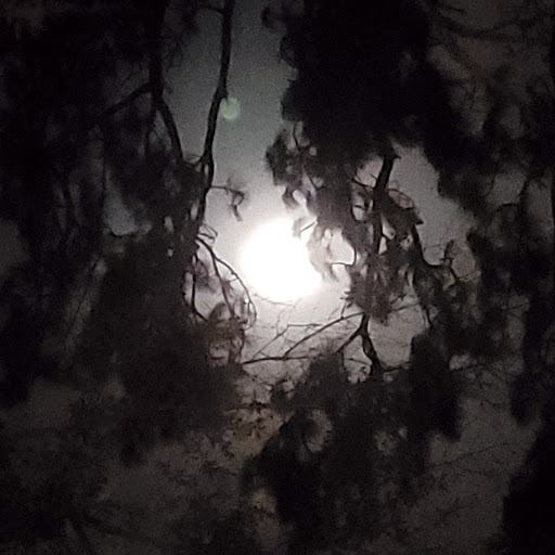 Crystal Strickland Photo 35