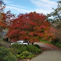 Debra Beach Photo 29