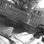 Elizabeth Berryman Photo 11