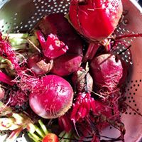 Julia Andersen Photo 22