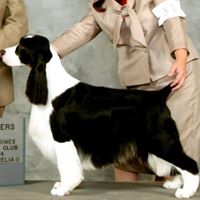 Karen Nicholas Photo 38
