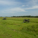 Curtis Dorn Photo 8