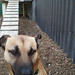 Max Long Photo 23