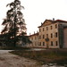 John Mcneely Photo 17
