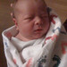 Matthew Shafer Photo 27