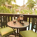 Barbara Broughton Photo 22