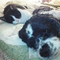 Sharon Farrar Photo 7