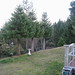 Larry Christensen Photo 17