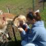 Tammy Farley Photo 37