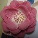 Gary Puffer Photo 17