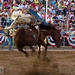 Steven Ogden Photo 17