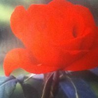 Ethel Magee Photo 4