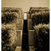 Robert West Photo 7