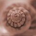 Jane Shell Photo 23