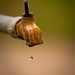 Shailendra Singh Photo 25