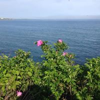 Debra Gannon Photo 15