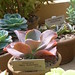 Mary Huntington Photo 13
