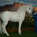 Debra Gray Photo 17