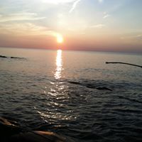 Teresa Schafer Photo 4