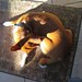 Susan Coe Photo 16