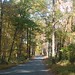 Glen Gardner Photo 21