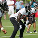 Stephen Cribb Photo 7