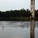 Lawrence Furman Photo 8