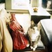 Ashley Watson Photo 25
