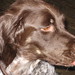 Beth Hoover Photo 30