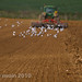 Eric Swain Photo 40
