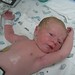 Andrew Hartman Photo 15