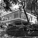 Donald Kaiser Photo 17