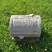 Virginia Stump Photo 9