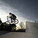 Aaron Redding Photo 18