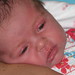 Addie Fuller Photo 8