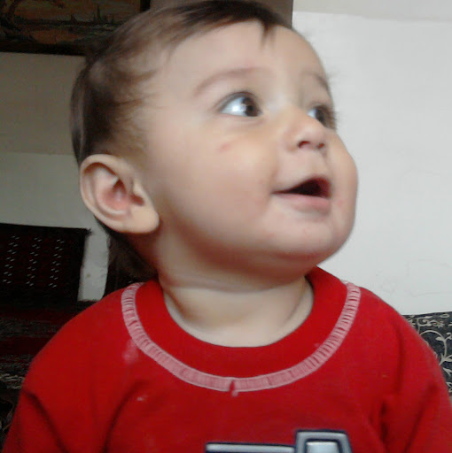 Fatemeh Soleymani Photo 7