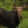 Valerie Macdonald Photo 24