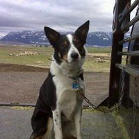 Stephanie Schofield Photo 40