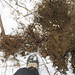 Amy Plant Photo 20
