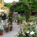Rose Bower Photo 21