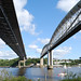 Tamar Major Photo 10