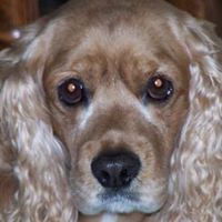 Candace Furry Photo 10