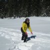 Annette Lewis Photo 1