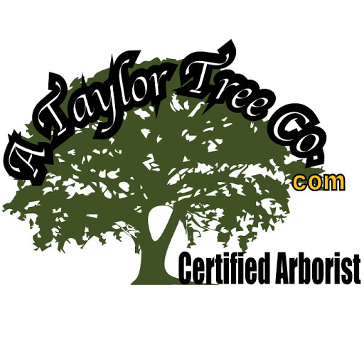 Ray Taylor Photo 44