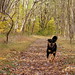 Sherri Sampson Photo 17