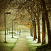 April Snow Photo 33