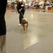 Susan Moorehead Photo 16