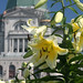 Joseph Flowers Photo 35